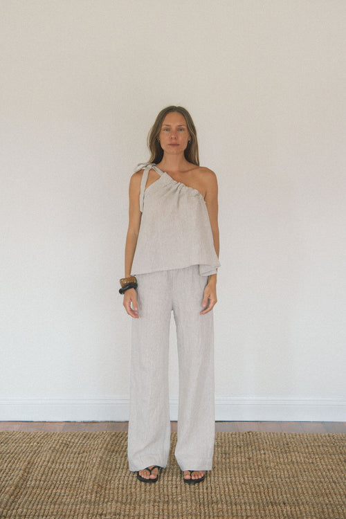 The Asymmetric Top